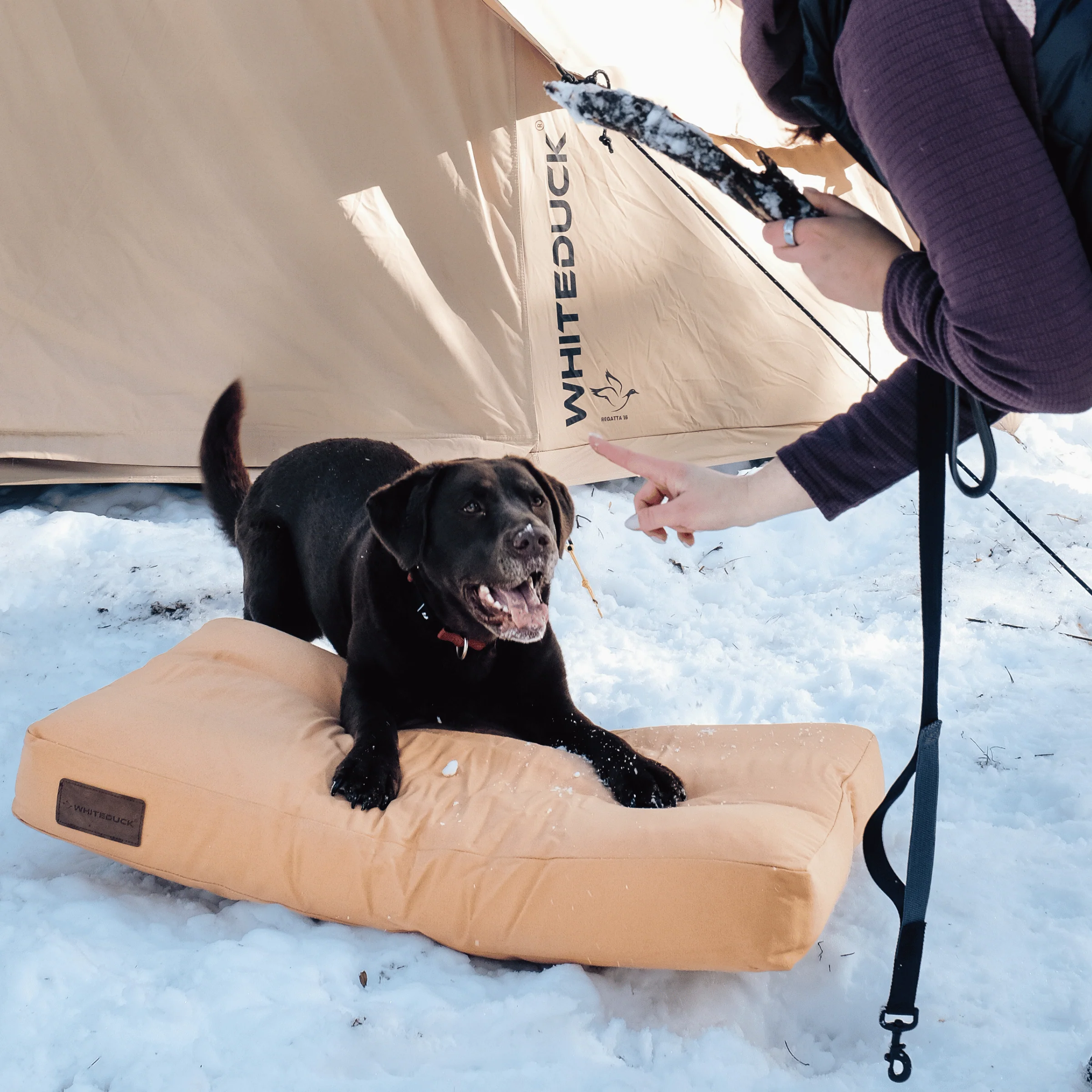 Dog Bed - Image 21