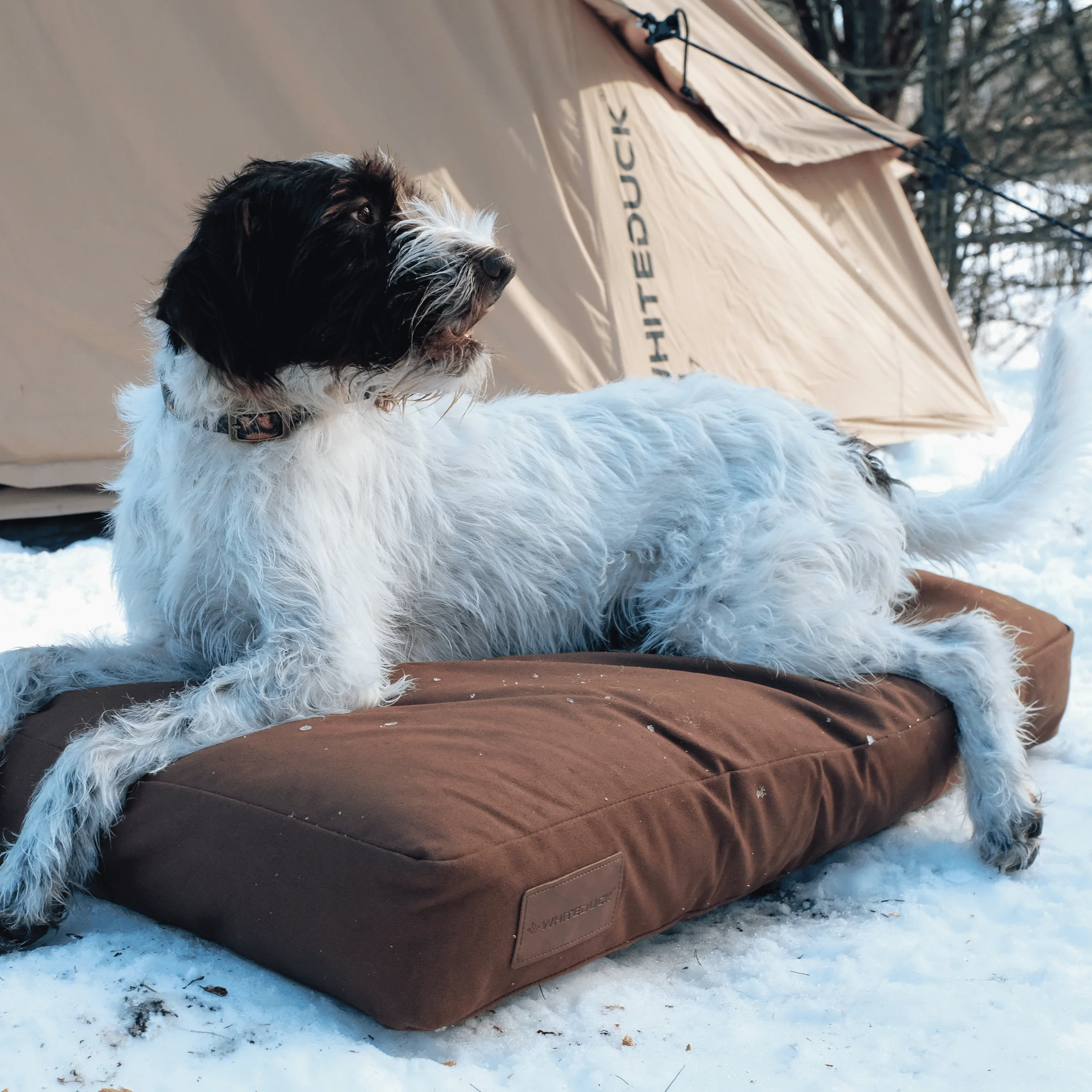 Dog Bed - Image 29