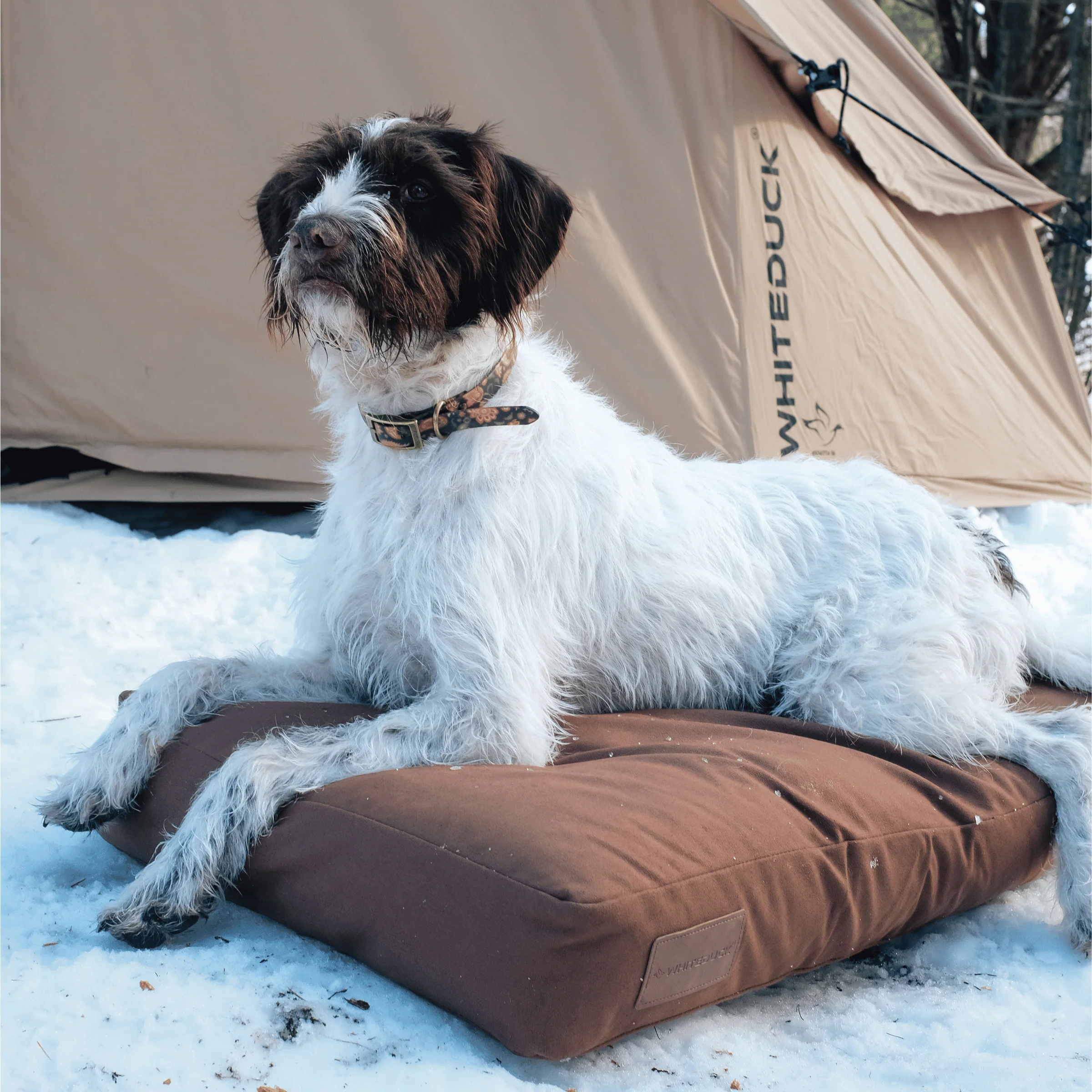 Dog Bed - Image 36