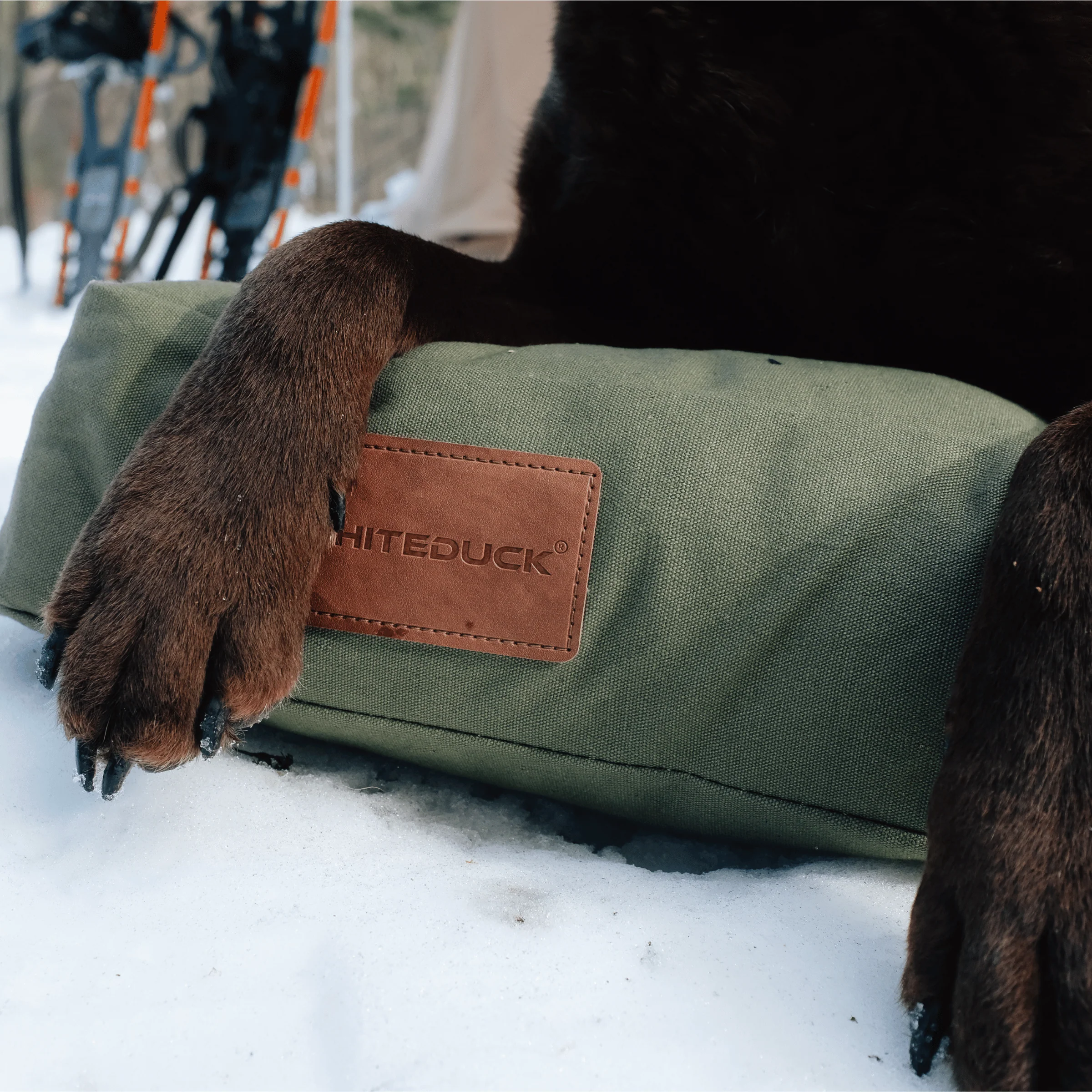 Dog Bed - Image 52