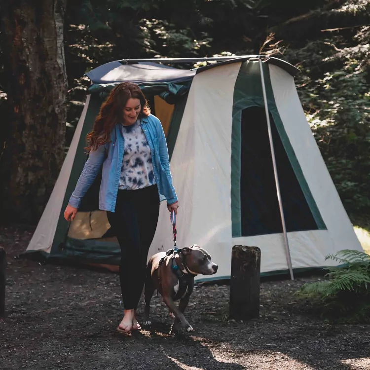 10'x10' Prota Canvas Tent - Image 3