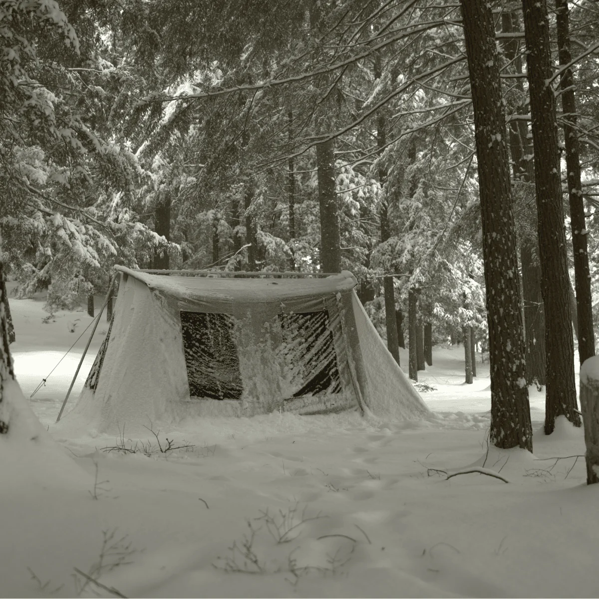 10’x14’ Prota Canvas Tent - Image 3