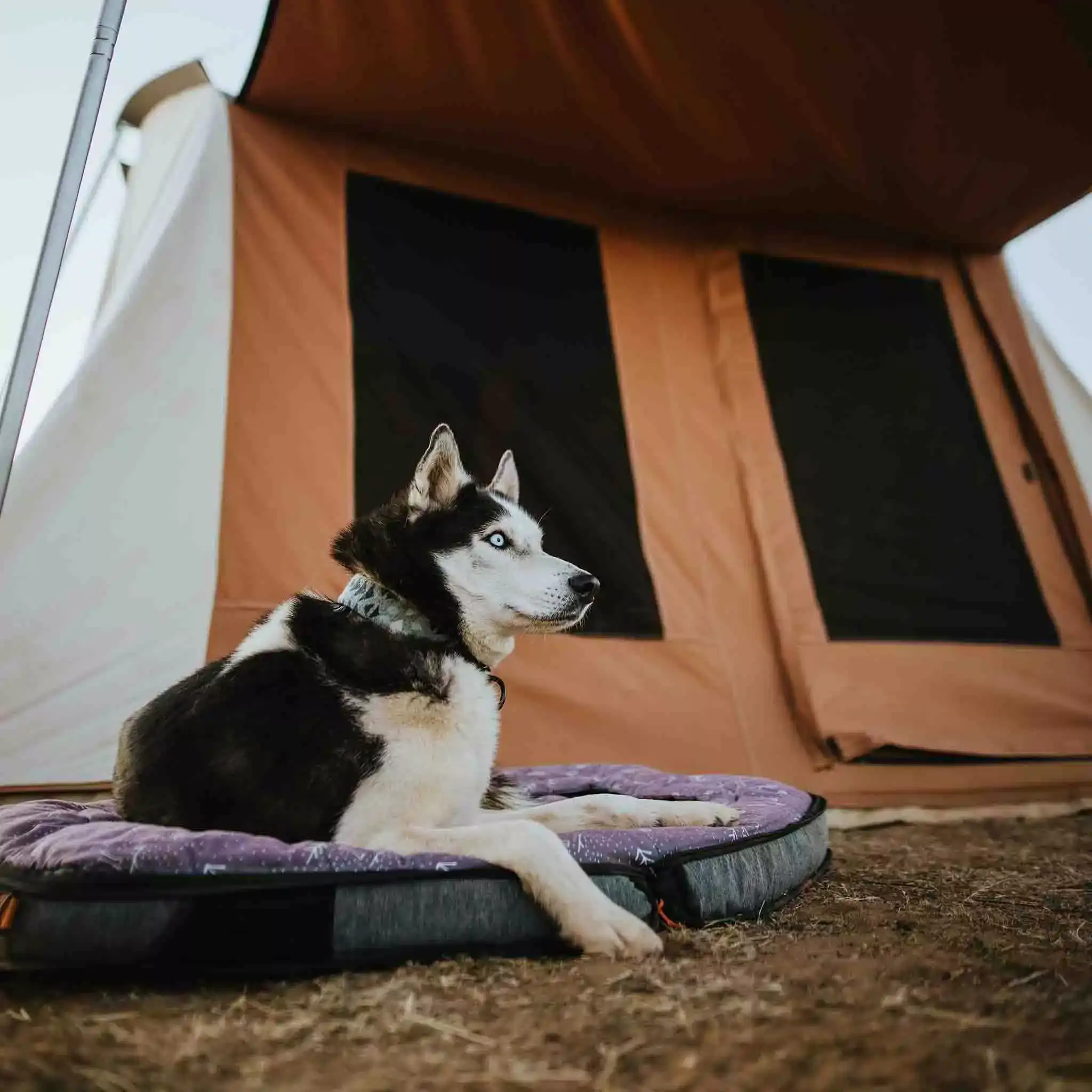Prota Canvas Tent with Ground Tarp - Image 19