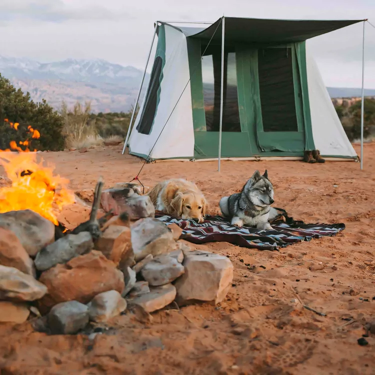 Prota Canvas Tent with Ground Tarp - Image 4