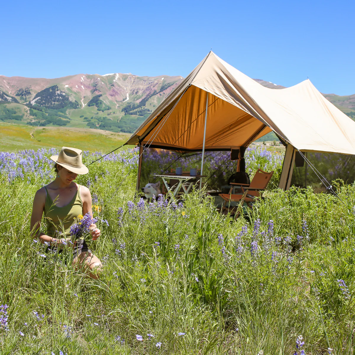 Rover Scout Tent 8'x13' - Image 13