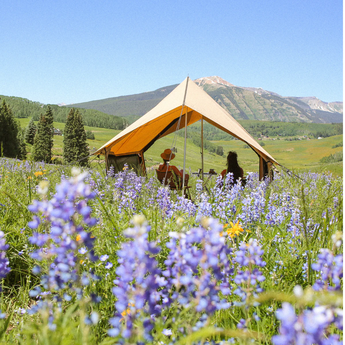 Rover Scout Tent 8'x13' - Image 4