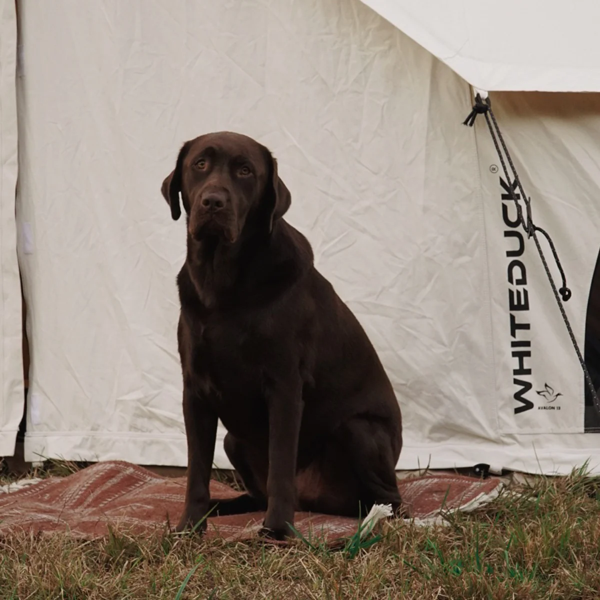 Avalon Bell Tent - Image 12
