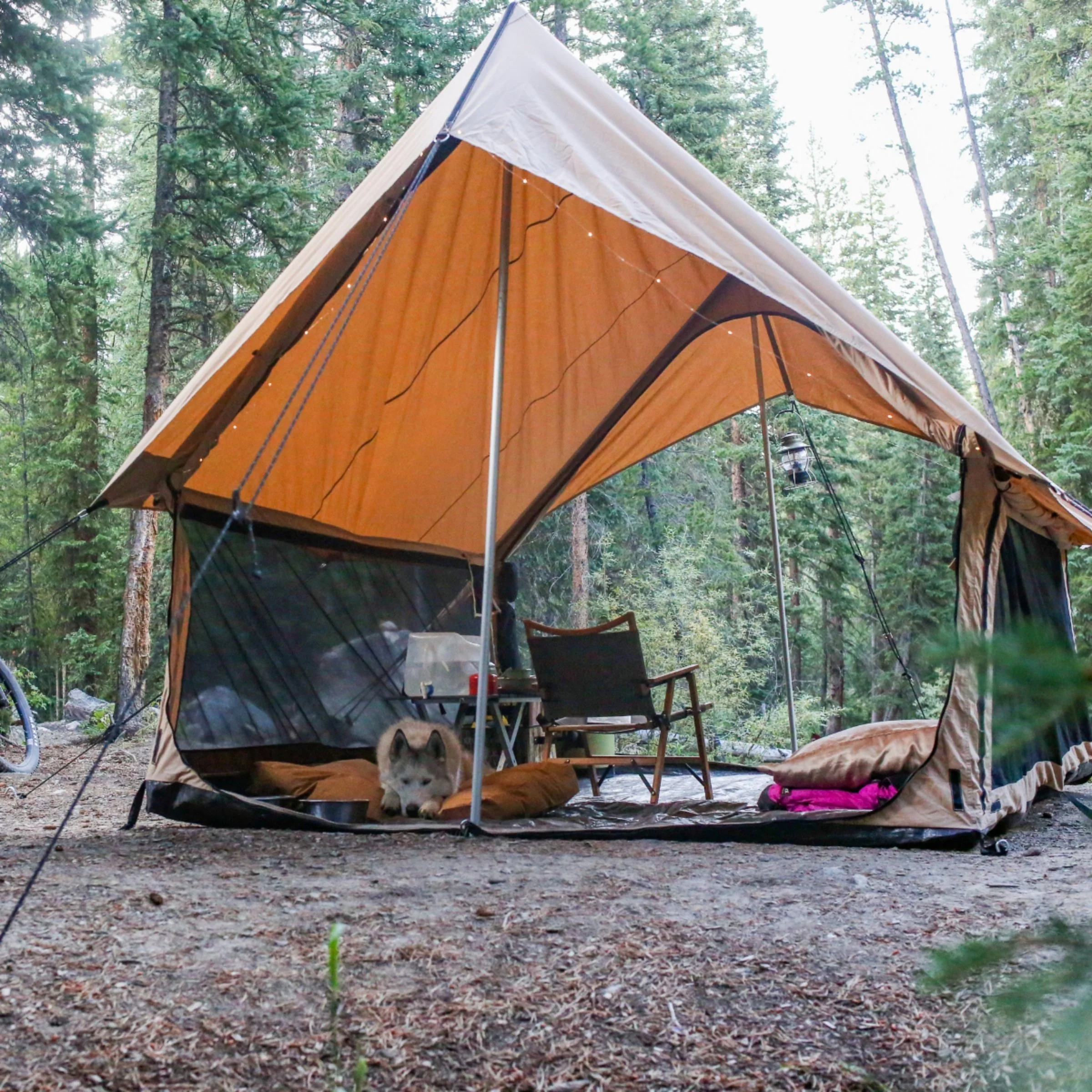 Rover Scout Tent - Image 5